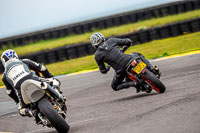 PJ-Motorsport-2019;anglesey-no-limits-trackday;anglesey-photographs;anglesey-trackday-photographs;enduro-digital-images;event-digital-images;eventdigitalimages;no-limits-trackdays;peter-wileman-photography;racing-digital-images;trac-mon;trackday-digital-images;trackday-photos;ty-croes